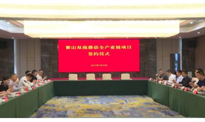總投資10億元紫山雙孢菇全產(chǎn)業(yè)鏈項(xiàng)目落戶寶應(yīng)